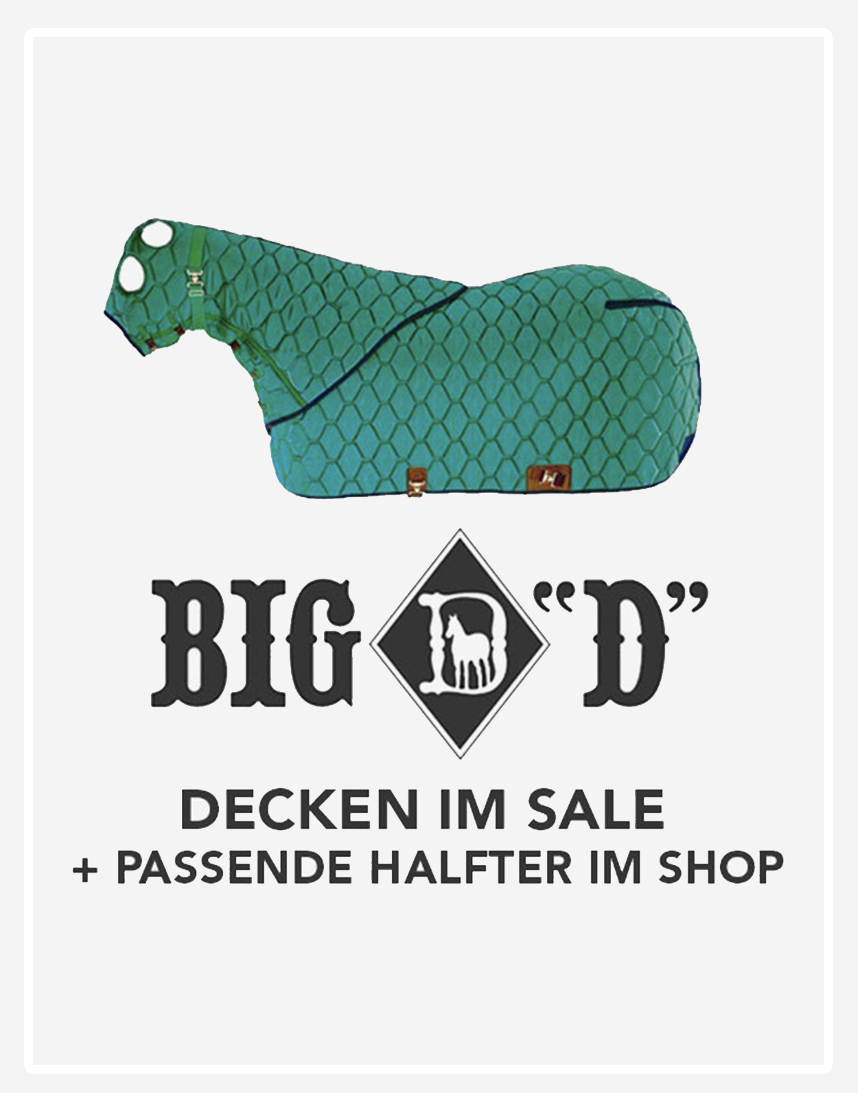 TACK Reitsport. Sie lieben den Pferdesport? Wir auch! Darum bieten wir Ihnen Top Reitsportbedarf für Reiter, Pferd und Reitstall, denn Reitsport verbindet.