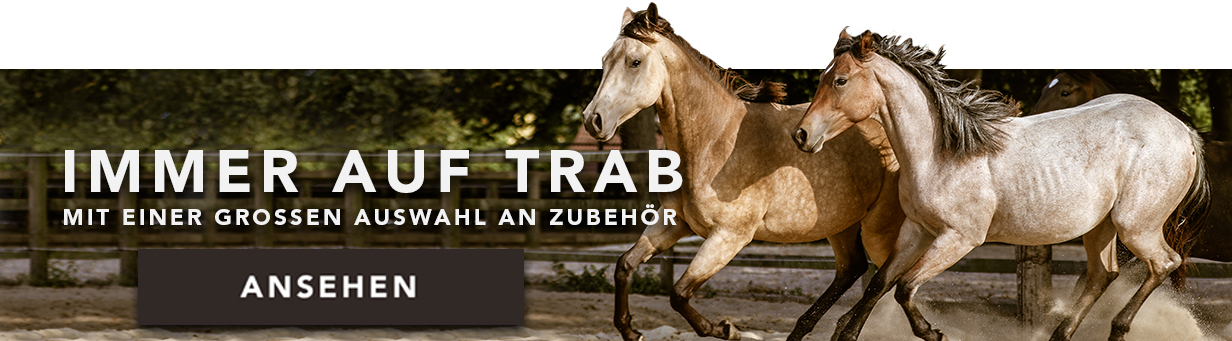 TACK Reitsport. Sie lieben den Pferdesport? Wir auch! Darum bieten wir Ihnen Top Reitsportbedarf für Reiter, Pferd und Reitstall, denn Reitsport verbindet.