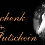 TACK Reitsport. Sie lieben den Pferdesport? Wir auch! Darum bieten wir Ihnen Top Reitsportbedarf für Reiter, Pferd und Reitstall, denn Reitsport verbindet.