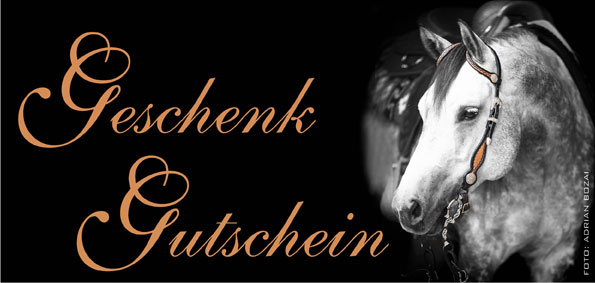 Geschenk-Gutschein-9100_b_0