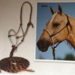 Hackamore-mit-Nylon-Mecate-von-Mustang-5635_b_0