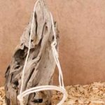 Mouth-Closer-Rope-weiss-1265_b_0