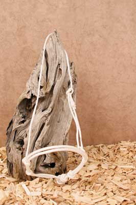 Mouth-Closer-Rope-weiss-1265_b_0