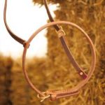 TACK Reitsport. Sie lieben den Pferdesport? Wir auch! Darum bieten wir Ihnen Top Reitsportbedarf für Reiter, Pferd und Reitstall, denn Reitsport verbindet.