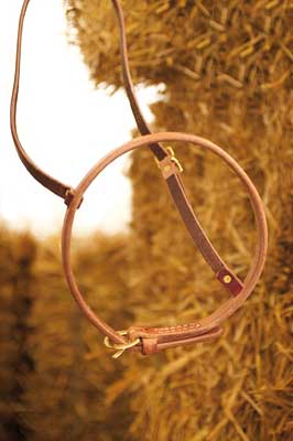 Mouthcloser-Harness-1310_b_0
