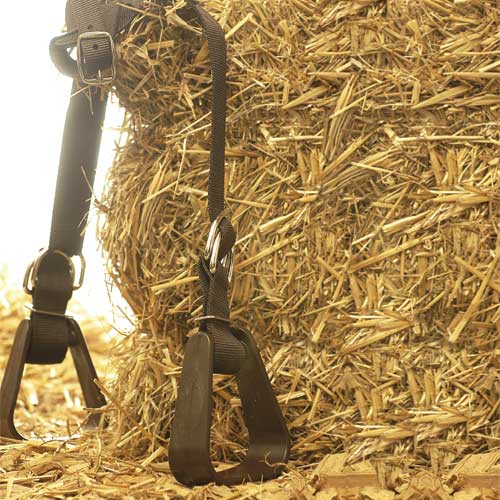 Saddle-Buddy-Kindersteigbuegel-2001_b_0