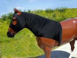 TACK Reitsport. Sie lieben den Pferdesport? Wir auch! Darum bieten wir Ihnen Top Reitsportbedarf für Reiter, Pferd und Reitstall, denn Reitsport verbindet.