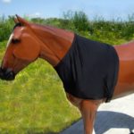 TACK Reitsport. Sie lieben den Pferdesport? Wir auch! Darum bieten wir Ihnen Top Reitsportbedarf für Reiter, Pferd und Reitstall, denn Reitsport verbindet.