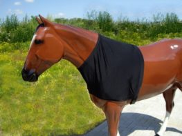 TACK Reitsport. Sie lieben den Pferdesport? Wir auch! Darum bieten wir Ihnen Top Reitsportbedarf für Reiter, Pferd und Reitstall, denn Reitsport verbindet.