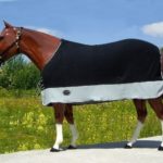 TACK Reitsport. Sie lieben den Pferdesport? Wir auch! Darum bieten wir Ihnen Top Reitsportbedarf für Reiter, Pferd und Reitstall, denn Reitsport verbindet.