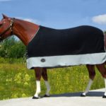 TACK Reitsport. Sie lieben den Pferdesport? Wir auch! Darum bieten wir Ihnen Top Reitsportbedarf für Reiter, Pferd und Reitstall, denn Reitsport verbindet.