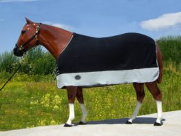 TACK Reitsport. Sie lieben den Pferdesport? Wir auch! Darum bieten wir Ihnen Top Reitsportbedarf für Reiter, Pferd und Reitstall, denn Reitsport verbindet.