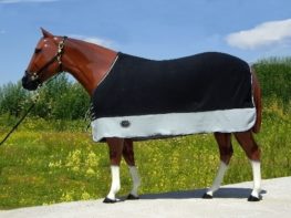 TACK Reitsport. Sie lieben den Pferdesport? Wir auch! Darum bieten wir Ihnen Top Reitsportbedarf für Reiter, Pferd und Reitstall, denn Reitsport verbindet.