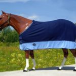 TACK Reitsport. Sie lieben den Pferdesport? Wir auch! Darum bieten wir Ihnen Top Reitsportbedarf für Reiter, Pferd und Reitstall, denn Reitsport verbindet.
