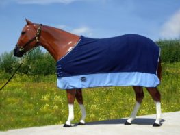 TACK Reitsport. Sie lieben den Pferdesport? Wir auch! Darum bieten wir Ihnen Top Reitsportbedarf für Reiter, Pferd und Reitstall, denn Reitsport verbindet.