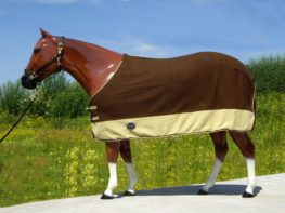 TACK Reitsport. Sie lieben den Pferdesport? Wir auch! Darum bieten wir Ihnen Top Reitsportbedarf für Reiter, Pferd und Reitstall, denn Reitsport verbindet.