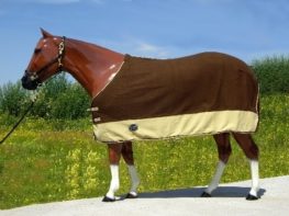 TACK Reitsport. Sie lieben den Pferdesport? Wir auch! Darum bieten wir Ihnen Top Reitsportbedarf für Reiter, Pferd und Reitstall, denn Reitsport verbindet.