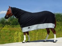 TACK Reitsport. Sie lieben den Pferdesport? Wir auch! Darum bieten wir Ihnen Top Reitsportbedarf für Reiter, Pferd und Reitstall, denn Reitsport verbindet.