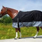 TACK Reitsport. Sie lieben den Pferdesport? Wir auch! Darum bieten wir Ihnen Top Reitsportbedarf für Reiter, Pferd und Reitstall, denn Reitsport verbindet.