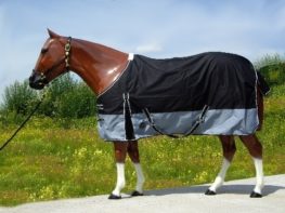 TACK Reitsport. Sie lieben den Pferdesport? Wir auch! Darum bieten wir Ihnen Top Reitsportbedarf für Reiter, Pferd und Reitstall, denn Reitsport verbindet.