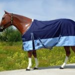TACK Reitsport. Sie lieben den Pferdesport? Wir auch! Darum bieten wir Ihnen Top Reitsportbedarf für Reiter, Pferd und Reitstall, denn Reitsport verbindet.