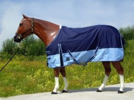 TACK Reitsport. Sie lieben den Pferdesport? Wir auch! Darum bieten wir Ihnen Top Reitsportbedarf für Reiter, Pferd und Reitstall, denn Reitsport verbindet.
