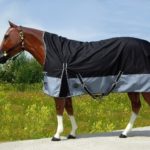 TACK Reitsport. Sie lieben den Pferdesport? Wir auch! Darum bieten wir Ihnen Top Reitsportbedarf für Reiter, Pferd und Reitstall, denn Reitsport verbindet.