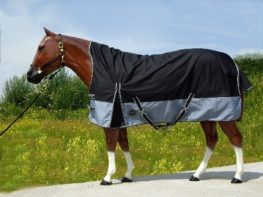 TACK Reitsport. Sie lieben den Pferdesport? Wir auch! Darum bieten wir Ihnen Top Reitsportbedarf für Reiter, Pferd und Reitstall, denn Reitsport verbindet.