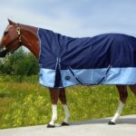 TACK Reitsport. Sie lieben den Pferdesport? Wir auch! Darum bieten wir Ihnen Top Reitsportbedarf für Reiter, Pferd und Reitstall, denn Reitsport verbindet.