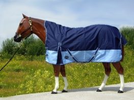 TACK Reitsport. Sie lieben den Pferdesport? Wir auch! Darum bieten wir Ihnen Top Reitsportbedarf für Reiter, Pferd und Reitstall, denn Reitsport verbindet.