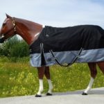 TACK Reitsport. Sie lieben den Pferdesport? Wir auch! Darum bieten wir Ihnen Top Reitsportbedarf für Reiter, Pferd und Reitstall, denn Reitsport verbindet.