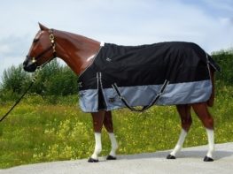 TACK Reitsport. Sie lieben den Pferdesport? Wir auch! Darum bieten wir Ihnen Top Reitsportbedarf für Reiter, Pferd und Reitstall, denn Reitsport verbindet.