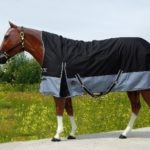 TACK Reitsport. Sie lieben den Pferdesport? Wir auch! Darum bieten wir Ihnen Top Reitsportbedarf für Reiter, Pferd und Reitstall, denn Reitsport verbindet.