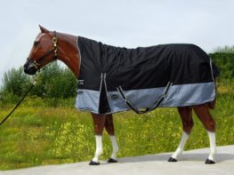 TACK Reitsport. Sie lieben den Pferdesport? Wir auch! Darum bieten wir Ihnen Top Reitsportbedarf für Reiter, Pferd und Reitstall, denn Reitsport verbindet.