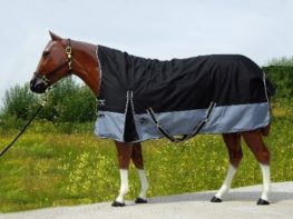 TACK Reitsport. Sie lieben den Pferdesport? Wir auch! Darum bieten wir Ihnen Top Reitsportbedarf für Reiter, Pferd und Reitstall, denn Reitsport verbindet.