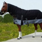TACK Reitsport. Sie lieben den Pferdesport? Wir auch! Darum bieten wir Ihnen Top Reitsportbedarf für Reiter, Pferd und Reitstall, denn Reitsport verbindet.