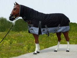 TACK Reitsport. Sie lieben den Pferdesport? Wir auch! Darum bieten wir Ihnen Top Reitsportbedarf für Reiter, Pferd und Reitstall, denn Reitsport verbindet.