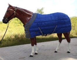 TACK Reitsport. Sie lieben den Pferdesport? Wir auch! Darum bieten wir Ihnen Top Reitsportbedarf für Reiter, Pferd und Reitstall, denn Reitsport verbindet.