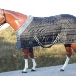 TACK Reitsport. Sie lieben den Pferdesport? Wir auch! Darum bieten wir Ihnen Top Reitsportbedarf für Reiter, Pferd und Reitstall, denn Reitsport verbindet.