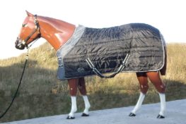 TACK Reitsport. Sie lieben den Pferdesport? Wir auch! Darum bieten wir Ihnen Top Reitsportbedarf für Reiter, Pferd und Reitstall, denn Reitsport verbindet.