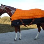TACK Reitsport. Sie lieben den Pferdesport? Wir auch! Darum bieten wir Ihnen Top Reitsportbedarf für Reiter, Pferd und Reitstall, denn Reitsport verbindet.