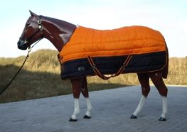 TACK Reitsport. Sie lieben den Pferdesport? Wir auch! Darum bieten wir Ihnen Top Reitsportbedarf für Reiter, Pferd und Reitstall, denn Reitsport verbindet.