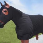TACK Reitsport. Sie lieben den Pferdesport? Wir auch! Darum bieten wir Ihnen Top Reitsportbedarf für Reiter, Pferd und Reitstall, denn Reitsport verbindet.