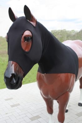 TACK Reitsport. Sie lieben den Pferdesport? Wir auch! Darum bieten wir Ihnen Top Reitsportbedarf für Reiter, Pferd und Reitstall, denn Reitsport verbindet.