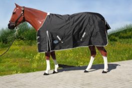 TACK Reitsport. Sie lieben den Pferdesport? Wir auch! Darum bieten wir Ihnen Top Reitsportbedarf für Reiter, Pferd und Reitstall, denn Reitsport verbindet.