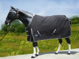 TACK Reitsport. Sie lieben den Pferdesport? Wir auch! Darum bieten wir Ihnen Top Reitsportbedarf für Reiter, Pferd und Reitstall, denn Reitsport verbindet.