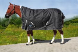 TACK Reitsport. Sie lieben den Pferdesport? Wir auch! Darum bieten wir Ihnen Top Reitsportbedarf für Reiter, Pferd und Reitstall, denn Reitsport verbindet.