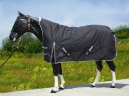 TACK Reitsport. Sie lieben den Pferdesport? Wir auch! Darum bieten wir Ihnen Top Reitsportbedarf für Reiter, Pferd und Reitstall, denn Reitsport verbindet.