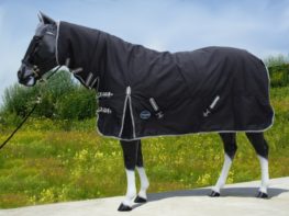 TACK Reitsport. Sie lieben den Pferdesport? Wir auch! Darum bieten wir Ihnen Top Reitsportbedarf für Reiter, Pferd und Reitstall, denn Reitsport verbindet.