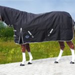 TACK Reitsport. Sie lieben den Pferdesport? Wir auch! Darum bieten wir Ihnen Top Reitsportbedarf für Reiter, Pferd und Reitstall, denn Reitsport verbindet.